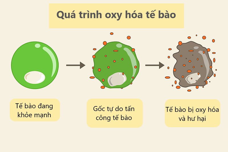 qua-trinh-oxy-hoa