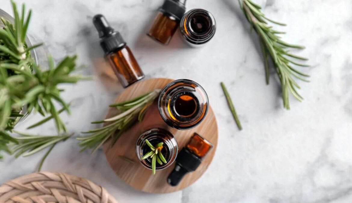 Cách chưng cất tinh dầu hương thảo (rosemary) nguyên chất